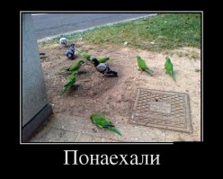Свежая подборка демотиваторов, которые поднимут вам настроение