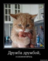 Про "лучшего" друга