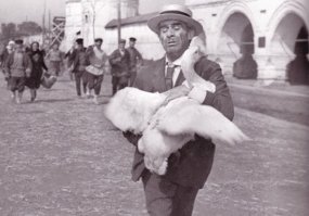 напомнило :)