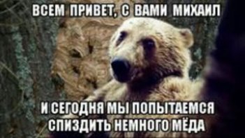 сообщество