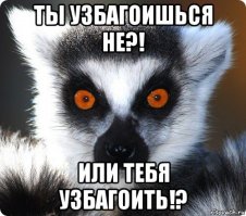 Послушайте этот 70-метровый «морской орган», использующий ветер и волны для создания звуков
