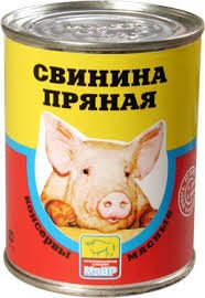 В Индии две разъяренные свиньи прямо посреди улицы напали на женщину