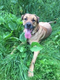 Мой такой же:) 51кг.