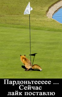 Инструкция: Как не стать жертвой "троллинга" на "Фишках" (и другие полезные советы)