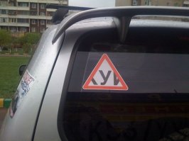 Автовсячина