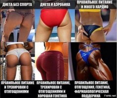 Жизненные приколы прямиком из спортклуба