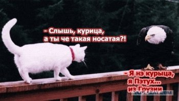 Очередная порция картинок с подписями