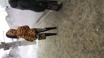 Леопарды в естественной среде обитания