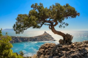 Это еще раз доказывает, что жить нужно на юге))