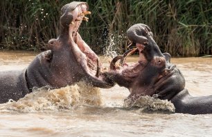Давай поцелуемся ....