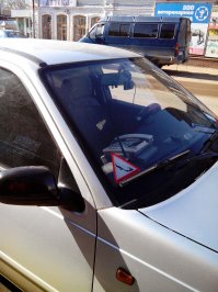 Автовсячина