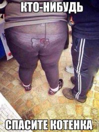 Леопарды в естественной среде обитания