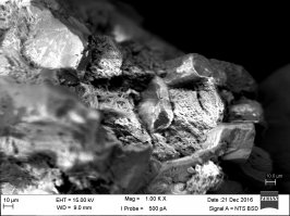 Довелось поиграться с эл. микроскопом.
1) Морской песок - увеличение 1000х;
2) Зверушки, живущие в морском песке - увеличение 10000х.
