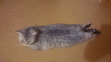 До и После чистки