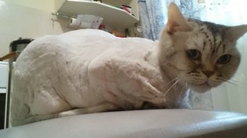 До и После чистки