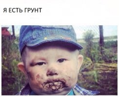 Смешные картинки с надписями