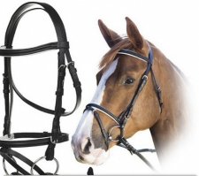 Уздечка, уздечка - вот уздечка!