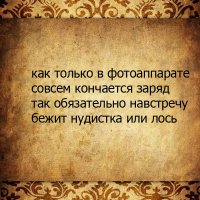 Отборная порция сочных пирожков