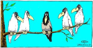 Как незаметно влиться в коллектив?