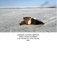 Отборная порция сочных пирожков