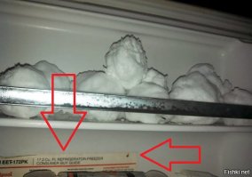 Когда с соседями - не соскучишься: 35 фото-историй