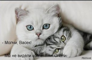 Криминальная сводка недели