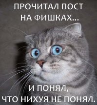 Знаете, как ухаживать за лизуном? Делимся опытом