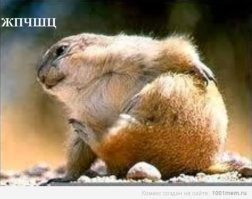 "ЦБ РФ Ольга Скоробогатова сообщила что ведется разработка национальной криптовалюты. Все, занавес."

Занавес только открывается, мысль, которую я все это время пытался до тебя донести: если не можем контролировать чужую давайте создадим свою.

p.s. и пердак у хомячка вроде на месте.