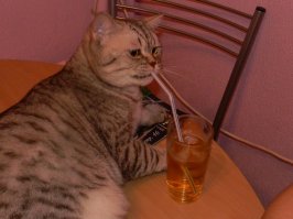 Криминальная сводка недели