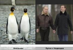 Может автор имеет ввиду мужскую дружбу.