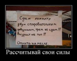 И объявление, как крик души