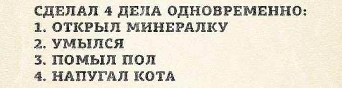 если хватило выдержки - помыл за собой и за котом