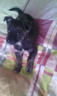 Пройти мимо мы просто не смогли