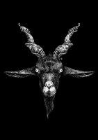 На бензоколонке он Макса повстречал?