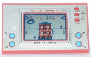 Ночные воришки в цвет ночи)))