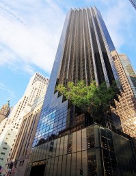 Они надеятся заинтересовать... Ну пусть надеятся. Стомость строительства Трамп Тауэр на самой дорогой улице Манхеттена обошлось в $300миллионов. Там этажей больше чем тут туалетов и спален вместе взятых.