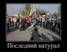 Огромные расходы и беспорядок: Трамп запретил прием трансгендеров в армию