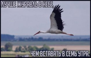 Хотите похудеть? Не нужно меньше кушать, нужно сменить работу