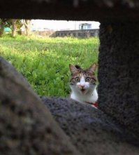 Прикольные картинки!