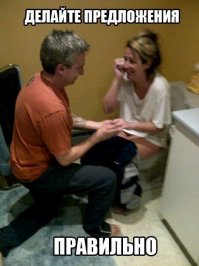 Вот где настоящая романтика, кокосы, бл@дь...