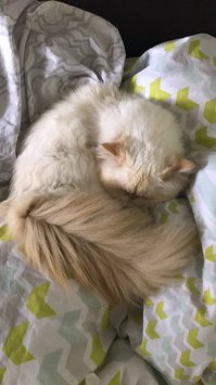 А вот мой комочек счастья