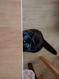 ахахах! у меня всё то же самое, только чёрного цвета