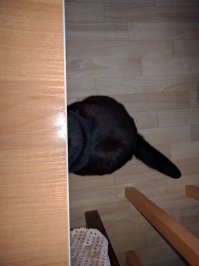 ахахах! у меня всё то же самое, только чёрного цвета