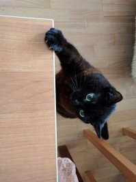 ахахах! у меня всё то же самое, только чёрного цвета