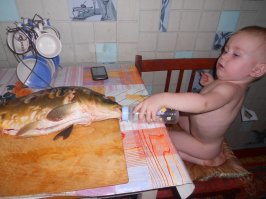 Ох, уж эти детки: родители делятся чумовыми проделками своих малышей в Snapchat