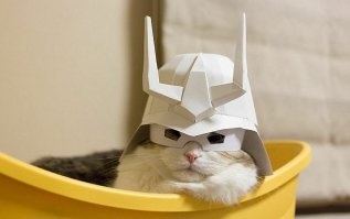 поколение мля! нах историю читать, когда можно "звездные войны" посмотреть? да? это, млять, не штурмовик! это самурайский шлем!!