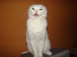 Еще фото этого чудовища