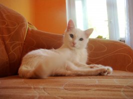 Еще фото этого чудовища