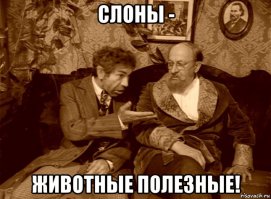 Холодное оружие и доспехи Индии