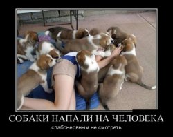 Свежая подборка демотиваторов, которые поднимут вам настроение